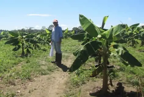 agro2
