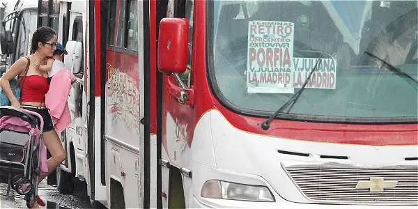 buses