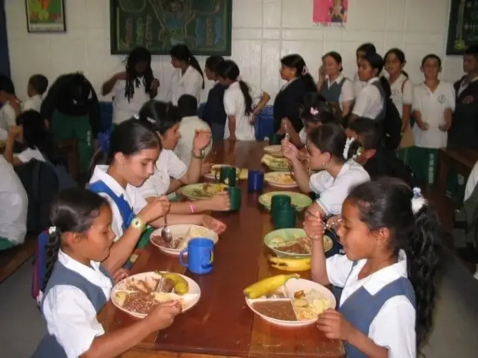 alimentacion