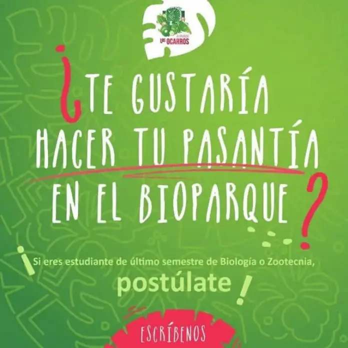 pasantia.png