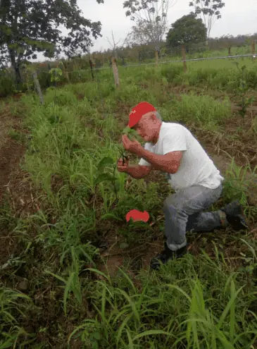agro