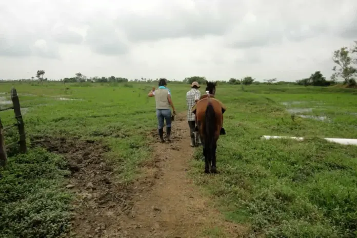 tierras