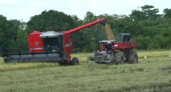 agro3