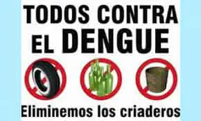 dengue