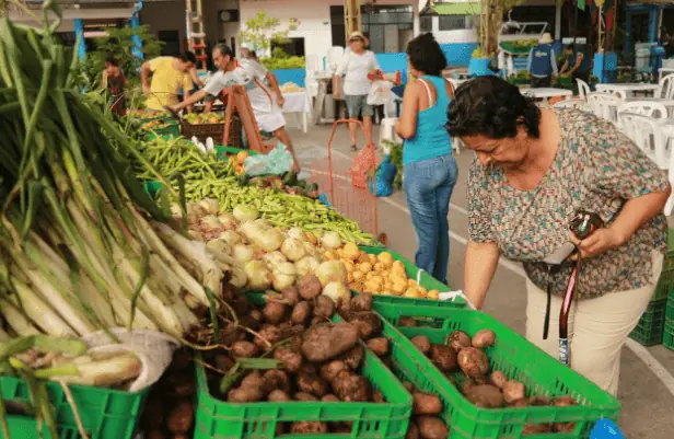 mercado