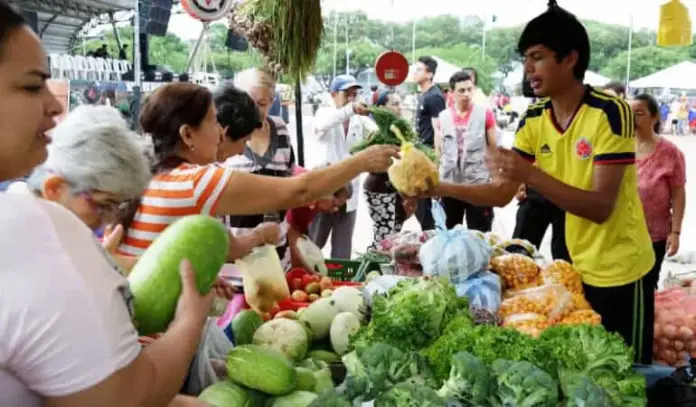 mercado1