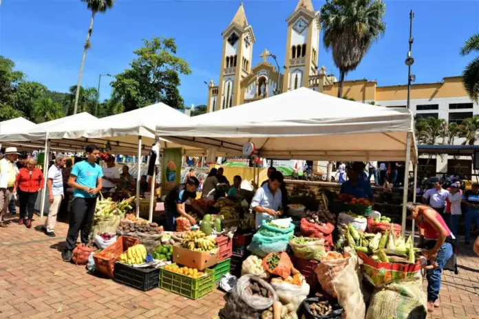 mercado2
