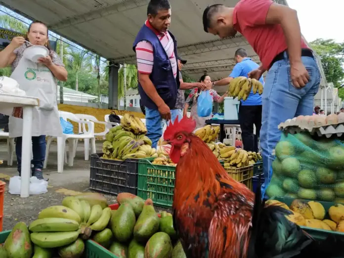 mercados