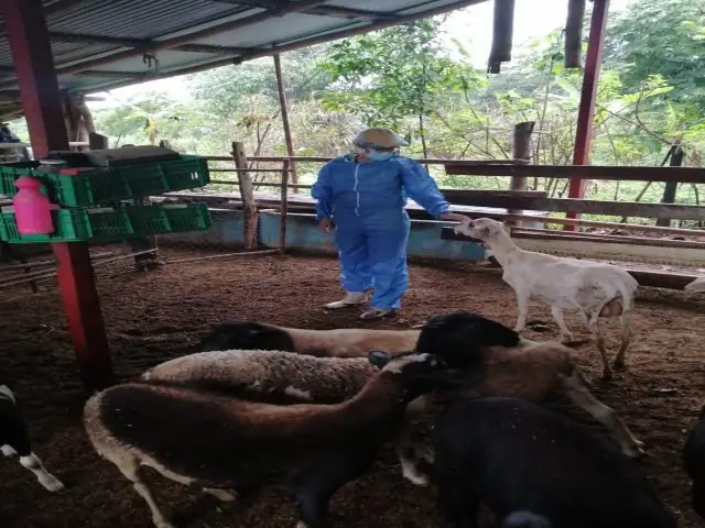 Foto-ICA-visita-produccion-ovina-caprina-Casanare