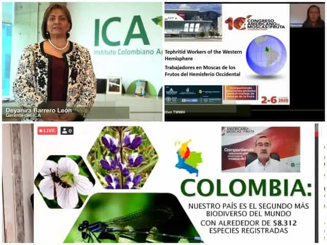 ICA16