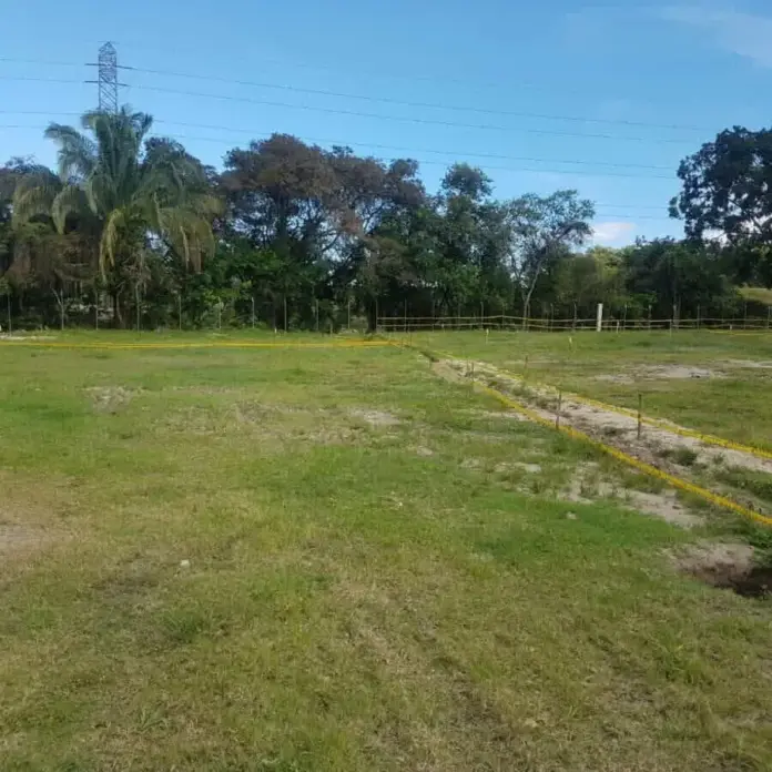 lote