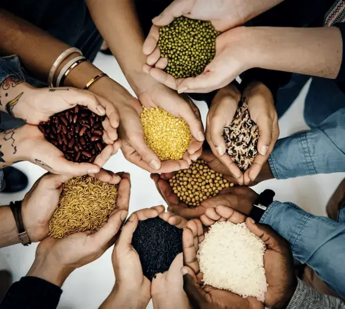 alimentos1