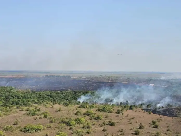 incendiovichada