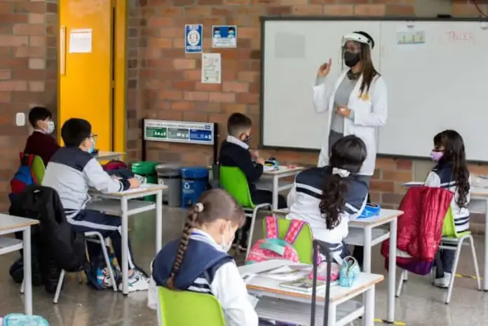 maestra