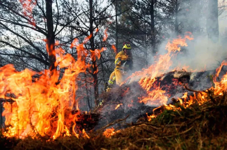 organismos alertan sobre incendios forestales y deslizamientos por fenómeno climático