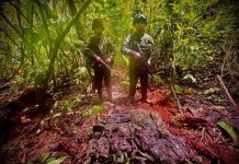 Guerrilla dejó campamento abandonado en vereda del Meta