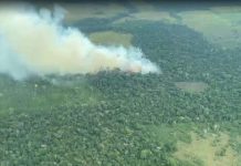 Ejército nacional frustra atentado terrorista en Calamar Guaviare