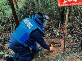 Ejército nacional destruyó cinco minas antipersonas en veredas del Meta