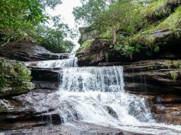 Gobierno nacional fortalece los ecosistemas rurales de La Macarena Meta