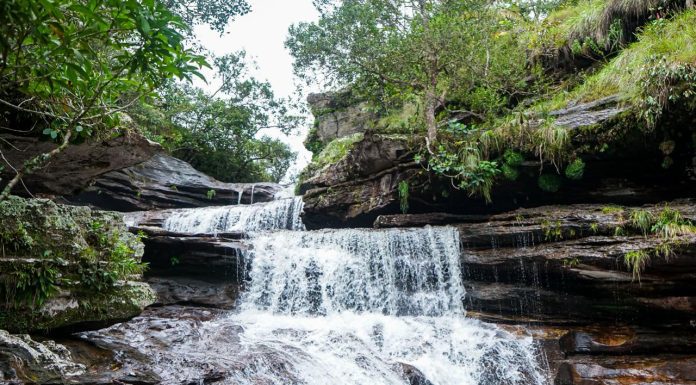 Gobierno nacional fortalece los ecosistemas rurales de La Macarena Meta