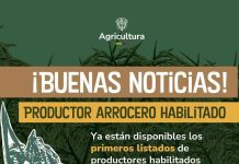 Ya están listos los beneficios para los productores de arroz en Colombia