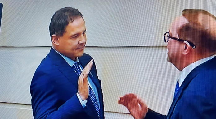 Honorio Henríquez nuevo presidente del senado