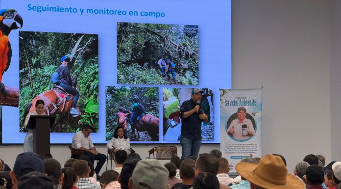 Más de 500 familias protegen el medio ambiente en el Meta