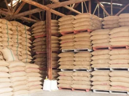 Industria arrocera donará tres millones de porciones del cereal a damnificados