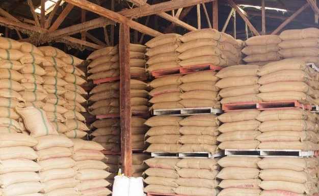 Industria arrocera donará tres millones de porciones del cereal a damnificados