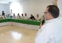 Minagricultura propone sembrar arroz de acuerdo a la demanda