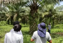 Minagricultura ofrece apoyo a palmicultores en Villavicencio