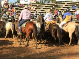 Villavo se prepara para celebrar el Festival Llanero