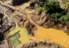 Más de 33 mil hectáreas de agua natural han desaparecido