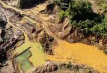 Más de 33 mil hectáreas de agua natural han desaparecido
