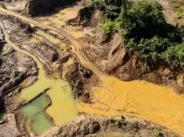 Más de 33 mil hectáreas de agua natural han desaparecido