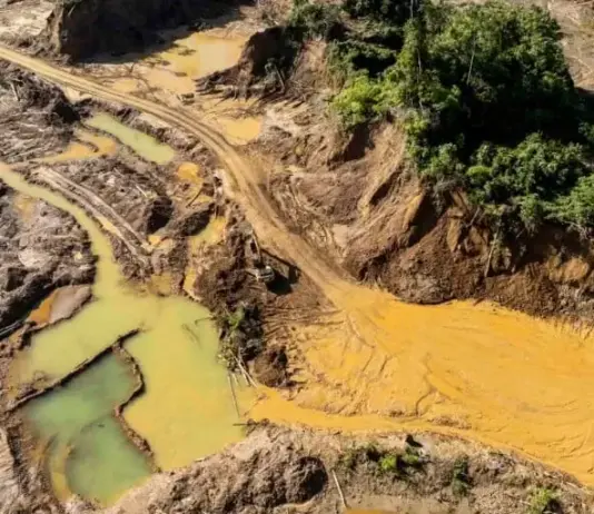 Más de 33 mil hectáreas de agua natural han desaparecido