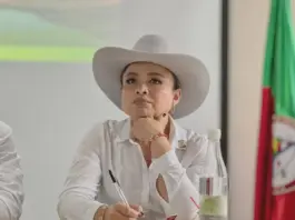 Por presunta falsedad en documentos para acceder al cargo denuncian a Lina Garrido directora de la ANT