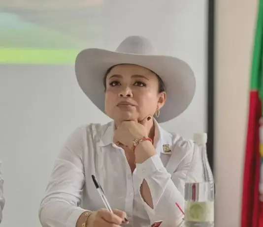 Por presunta falsedad en documentos para acceder al cargo denuncian a Lina Garrido directora de la ANT