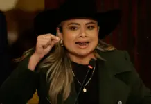 Abrieron investigación disciplinaria contra Lina María Garrido directora de la ANT